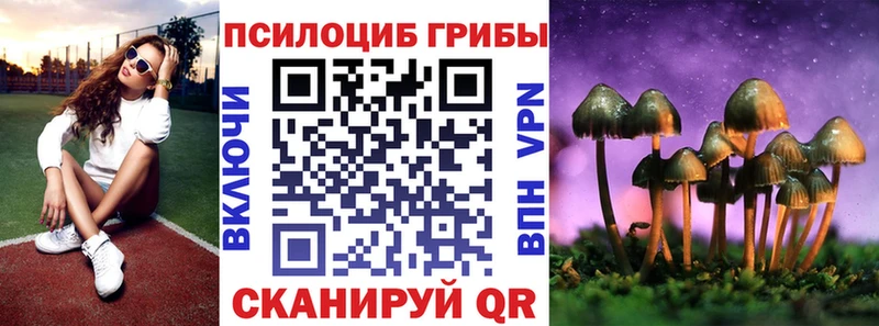Галлюциногенные грибы Psilocybine cubensis  где продают   Белогорск 