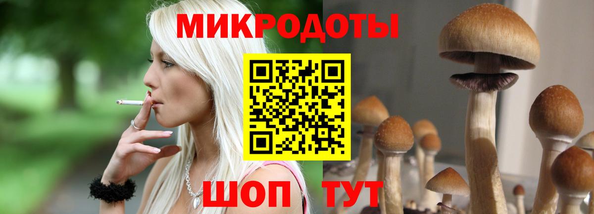 Белогорск  Галлюциногенные грибы прущие грибы  Псилоцибиновые грибы прущие грибы  Вход с VPN 